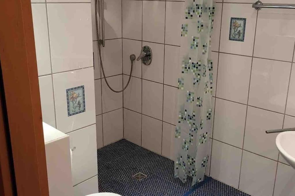 Apartment Im Pfaelzerwald Lambrecht  المظهر الخارجي الصورة